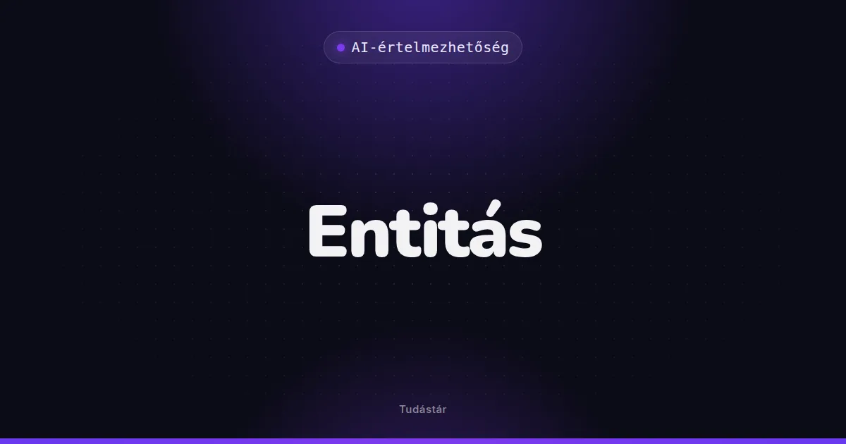 Entitás - AI-értelmezhetőség (szakszó) a tudástárban