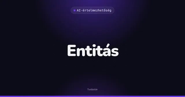Entitás - AI-értelmezhetőség (szakszó) a tudástárban