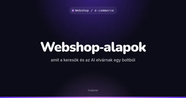 Webshop-alapok: amit a keresők és az AI elvárnak egy boltból - Webshop / e-commerce (útmutató) a tudástárban